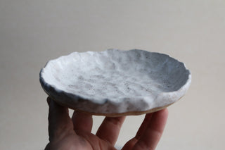 a hand holding a white plate with a white substance on it