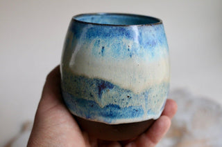 a hand holding a blue and white cup