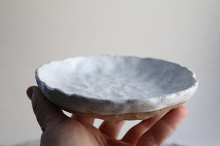 a person holding a white plate in their hand